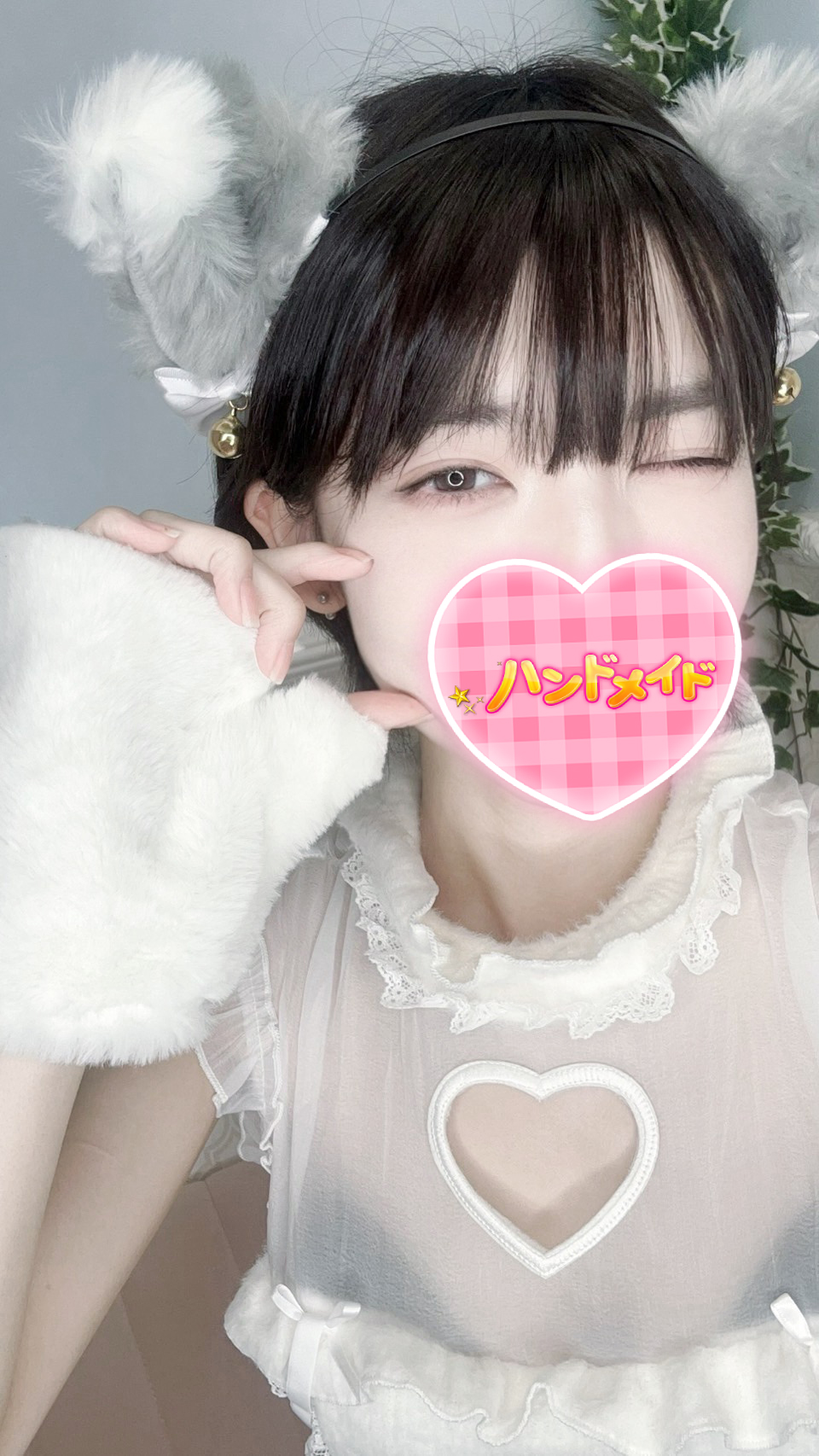 ハンドメイドしろちゃん画像