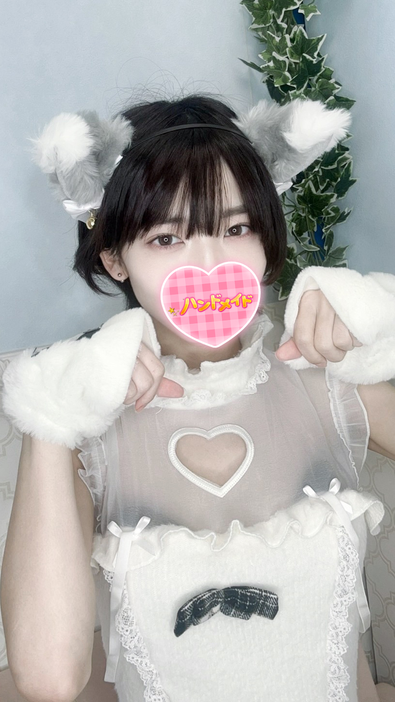 ハンドメイドしろちゃん画像